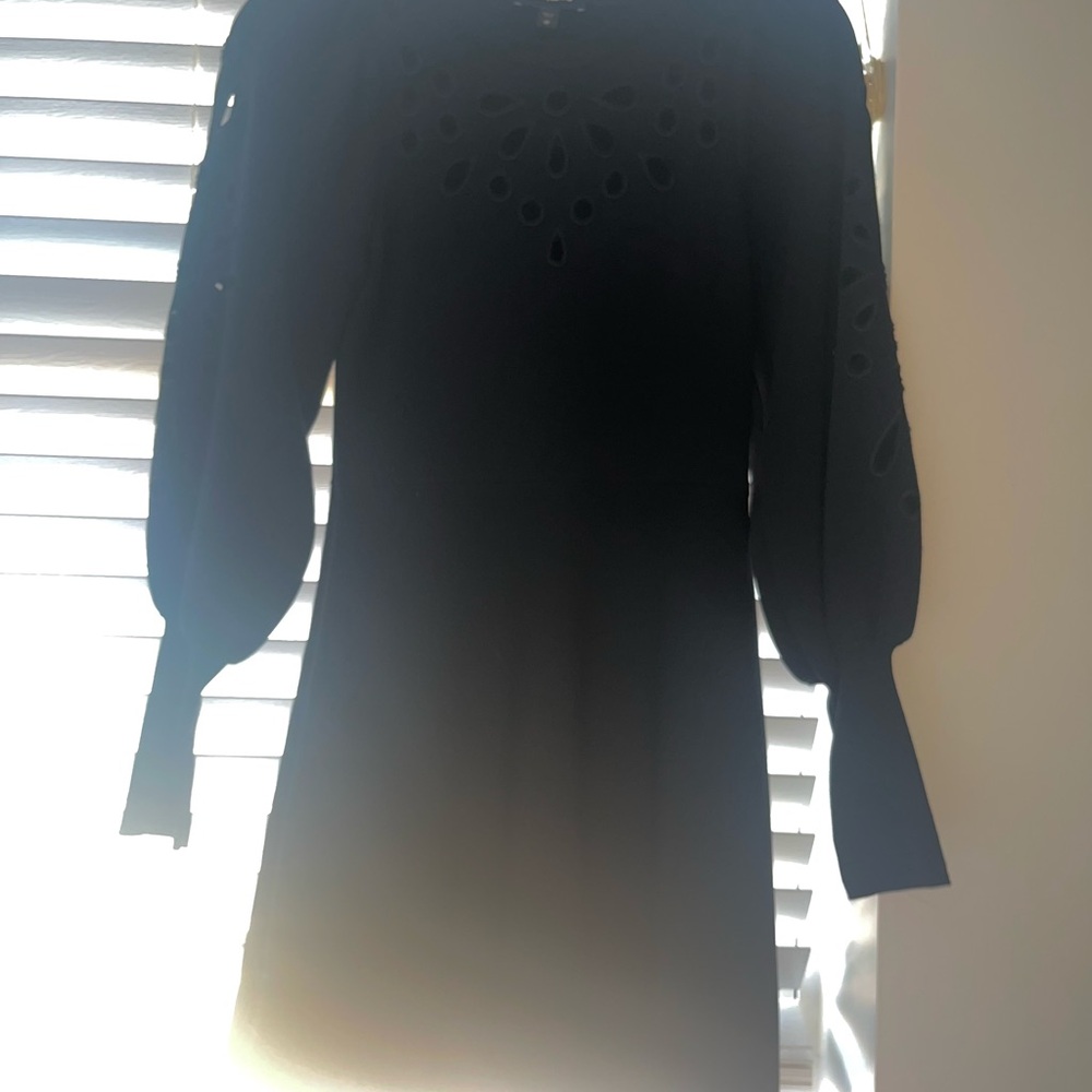 Express Black Sweater Dress